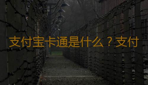 支付宝卡通是什么？支付宝卡通怎么办理？