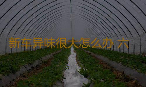 新车异味很大怎么办 六方法巧除新车异味