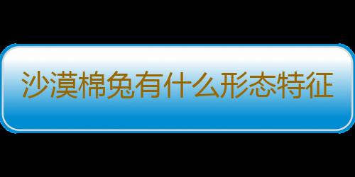 沙漠棉兔有什么形态特征？