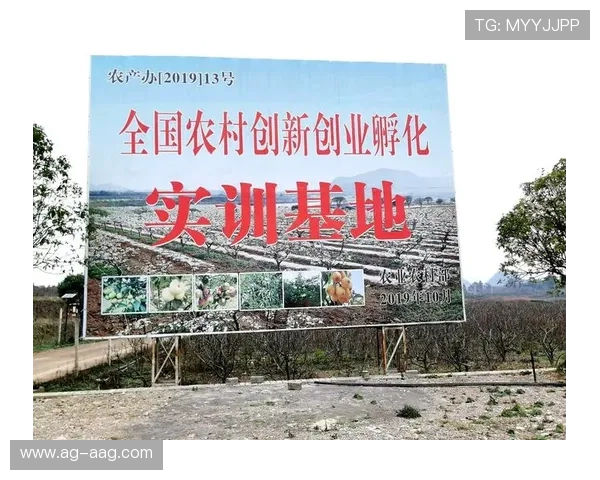 J9九游会·集团官网：九游会官方平台的客户服务体系与常见问题解答指南